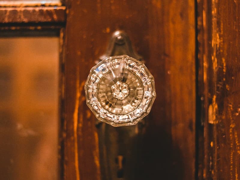 Ginkgo Leaf Door Knob — Door Knob in Antique brass